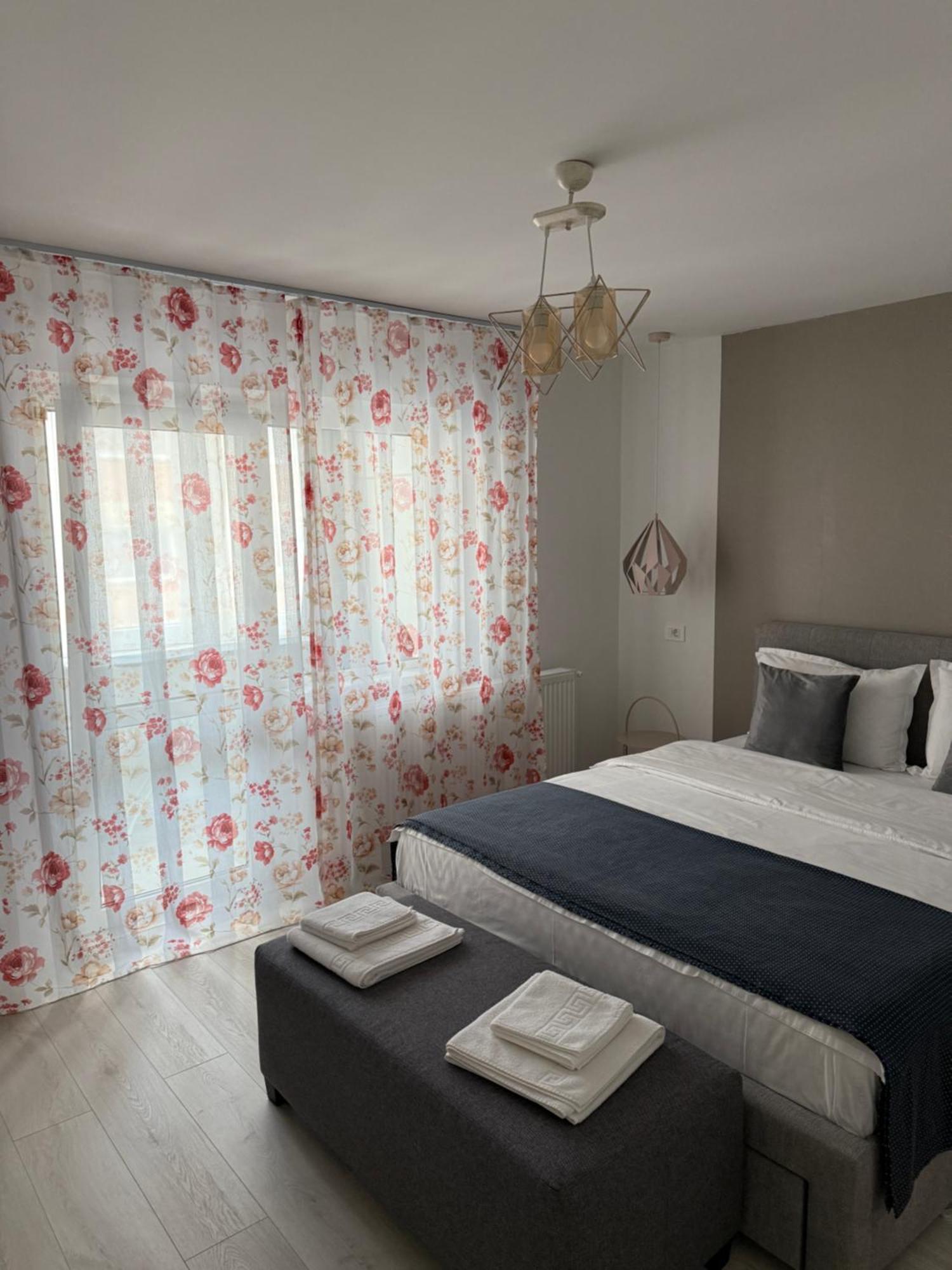 Sofi Apartment Petrosani